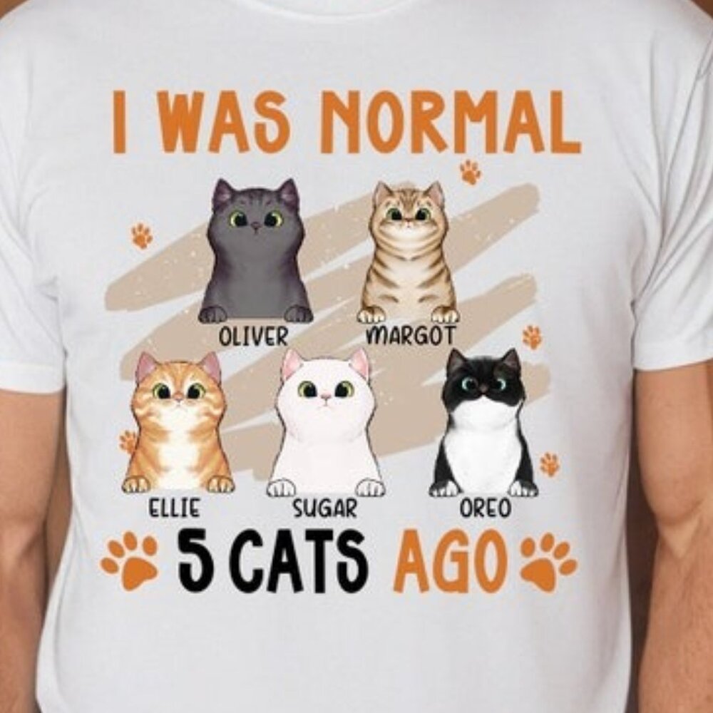 I Was Normal Cats Ago Custom Shirt, Personalized Gifts For Cat Lovers - Picture 2 of 4